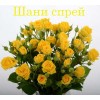 Роза Шани (Shani) спрей